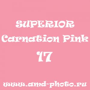 Фон бумажный SUPERIOR Carnation Pink 17, COLORAMA Carnation 21