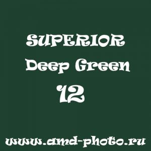 Фон бумажный SUPERIOR Deep Green 12, аналог COLORAMA Spruce Green 37