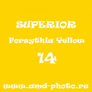 Фон бумажный SUPERIOR Forsythia Yellow 14, LASTOLITE Yellow 9071, COLORAMA Buttercup 70