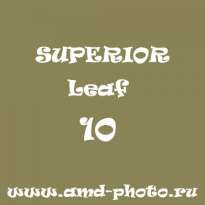 Фон бумажный SUPERIOR Leaf 10, COLORAMA Leaf 97