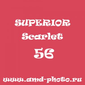 Фон бумажный SUPERIOR Scarlet 56, LASTOLITE Red 9008, COLORAMA Cherry 04