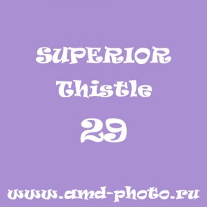 Фон бумажный SUPERIOR Thistle 29, LASTOLITE Amethyst 9029, COLORAMA Lilac 10