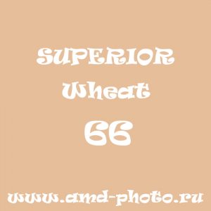 Фон бумажный SUPERIOR Wheat 66, COLORAMA Barley 14