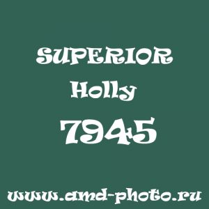 Пластиковый матовый зеленый фон SUPERIOR Colorama Holly 7945