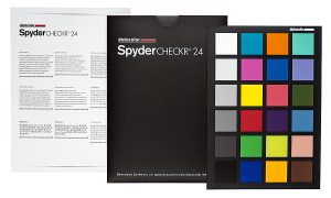 Шкала Datacolor Spydercheckr 24
